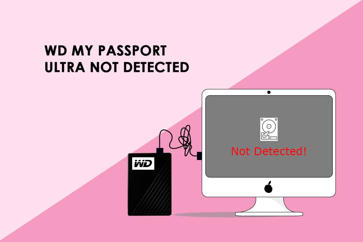 Correction de WD My Passport Ultra non détecté sur Windows 10